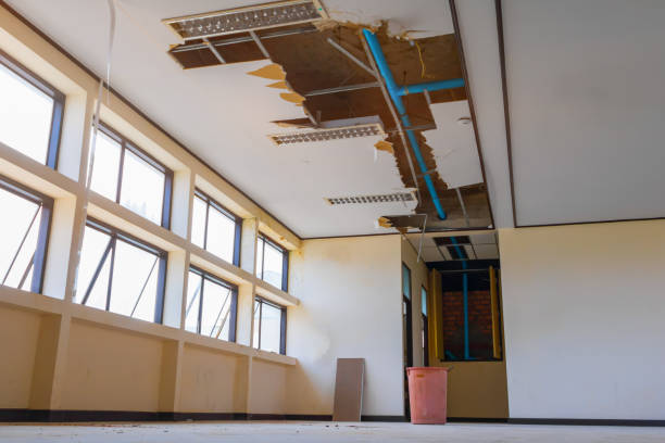 Best Water damage contractors near me  in Day Heights, OH
