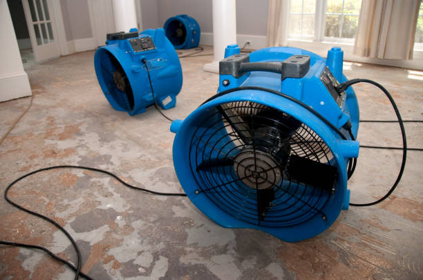 Best Basement water damage restoration  in Day Heights, OH