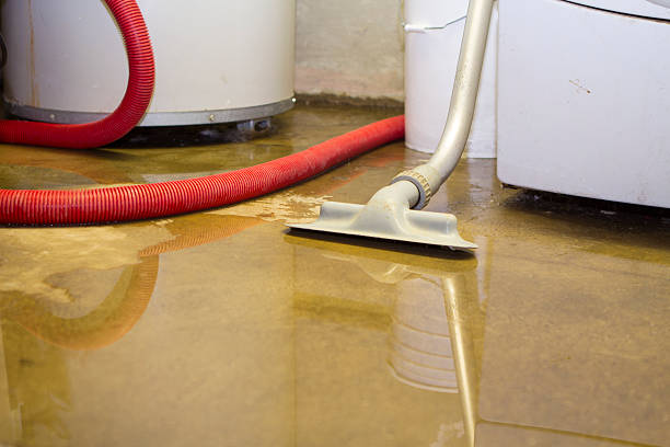 Best Ceiling water damage repair  in Day Heights, OH