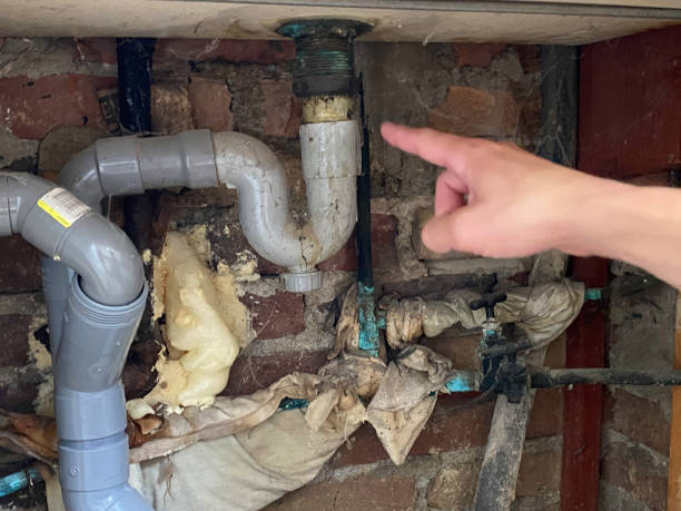 Best Water damage restoration company  in Day Heights, OH