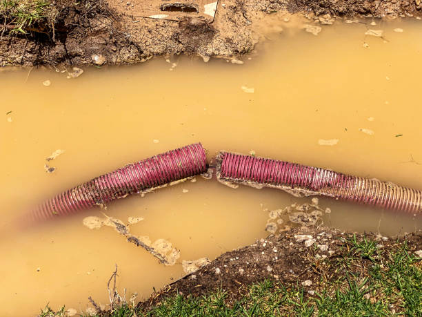 Best Emergency water damage restoration  in Day Heights, OH