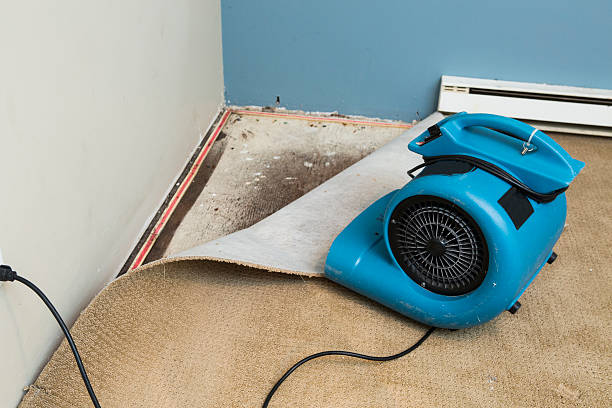 Best Residential water damage restoration  in Day Heights, OH